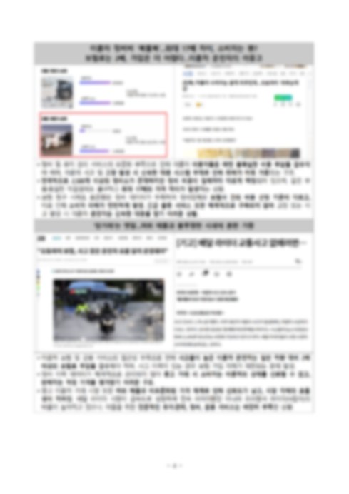 선정 사업계획서 문서 1